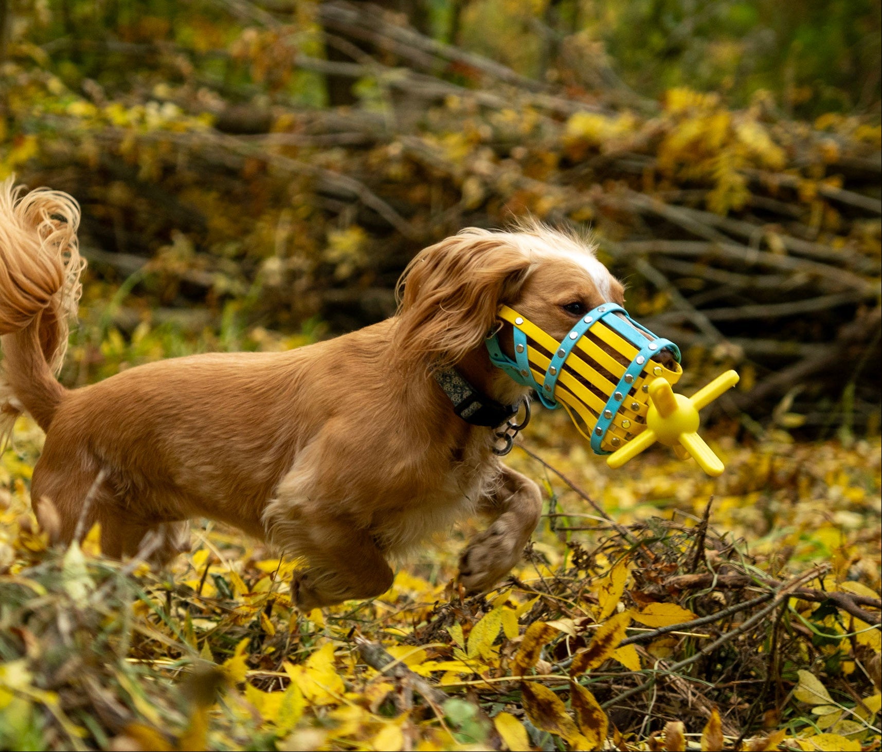 Muzzle Mate Muzzle Mate
